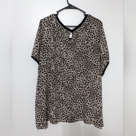 Torrid 5 - Picture 2 of 3